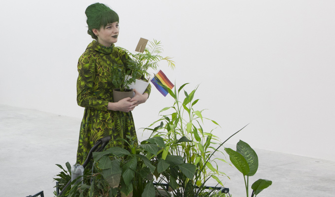Alyssa Ellis: Plant Swap